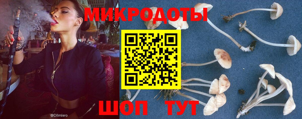 Галлюциногенные грибы мухоморы Азов